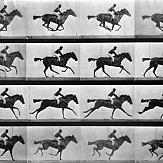 Eadweard Muybridge, Sallie gardner at a gallop, 1878